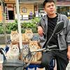 吴喵喵-在深圳卖猫