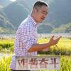上虞长风（杨梅季5~ 7月）