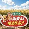 河南周园种业店铺