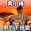 黄小棒的野钓下班路