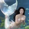 王丸丸美人鱼