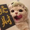 发财喵