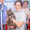 徐姐的猫咪繁育基地