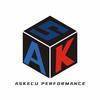 ASK汽车PERFORMANCE