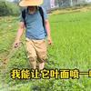 兆如丰-小赵