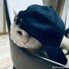 番茄酸酸甜