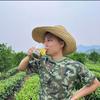 老兵茶业（一山一茶）