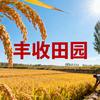 丰收田园