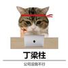 策划不吱声