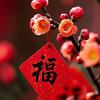 福禧礼物🎁定制