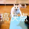 亏本传说