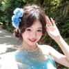 云起专升本（招代理版）