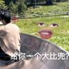 呆桃
