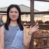 小丽双阳养鹿