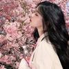 樱光里🌸