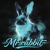 Mr.rabbit