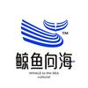 鲸鱼向海娱乐