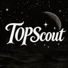 TOPScout 视界