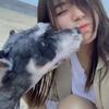 猪大侠来了