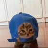 小蓝帽儿