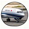 一架降落的南航737(冲1500粉)