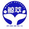 鲸萃WhaleExtract