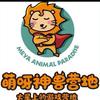 昆明萌呀神兽乐园-嗡嗡