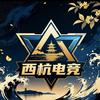 西杭电竞（客诉号）