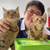 韩哥的“傻傻”猫