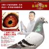 翁冠维