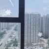 大鲨鱼