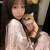 灵灵的猫狗屋·🐱🐶