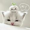 Yu_aan