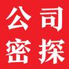 公司密探