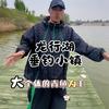 龙行湖垂钓小镇