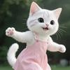 AI银猫记（小银）