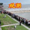 观潮第1现场