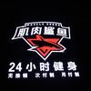 肌肉鲨鱼K88店