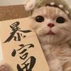 梦醒追剧