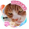 抖音涨粉榜萌宠排行榜第1名家有猫三宝