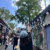 探店小宝