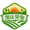 （兰州）凯庆果业榴连王子