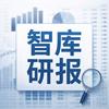 智库研报
