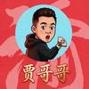 乱说贾大师