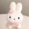 莓果小团子ʚɞ