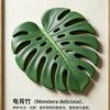 全植老灯