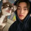 🐾Puppi2q