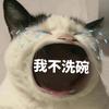今天不想洗碗