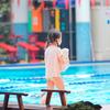 青蛙戏水