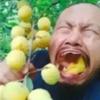 环保主义猪